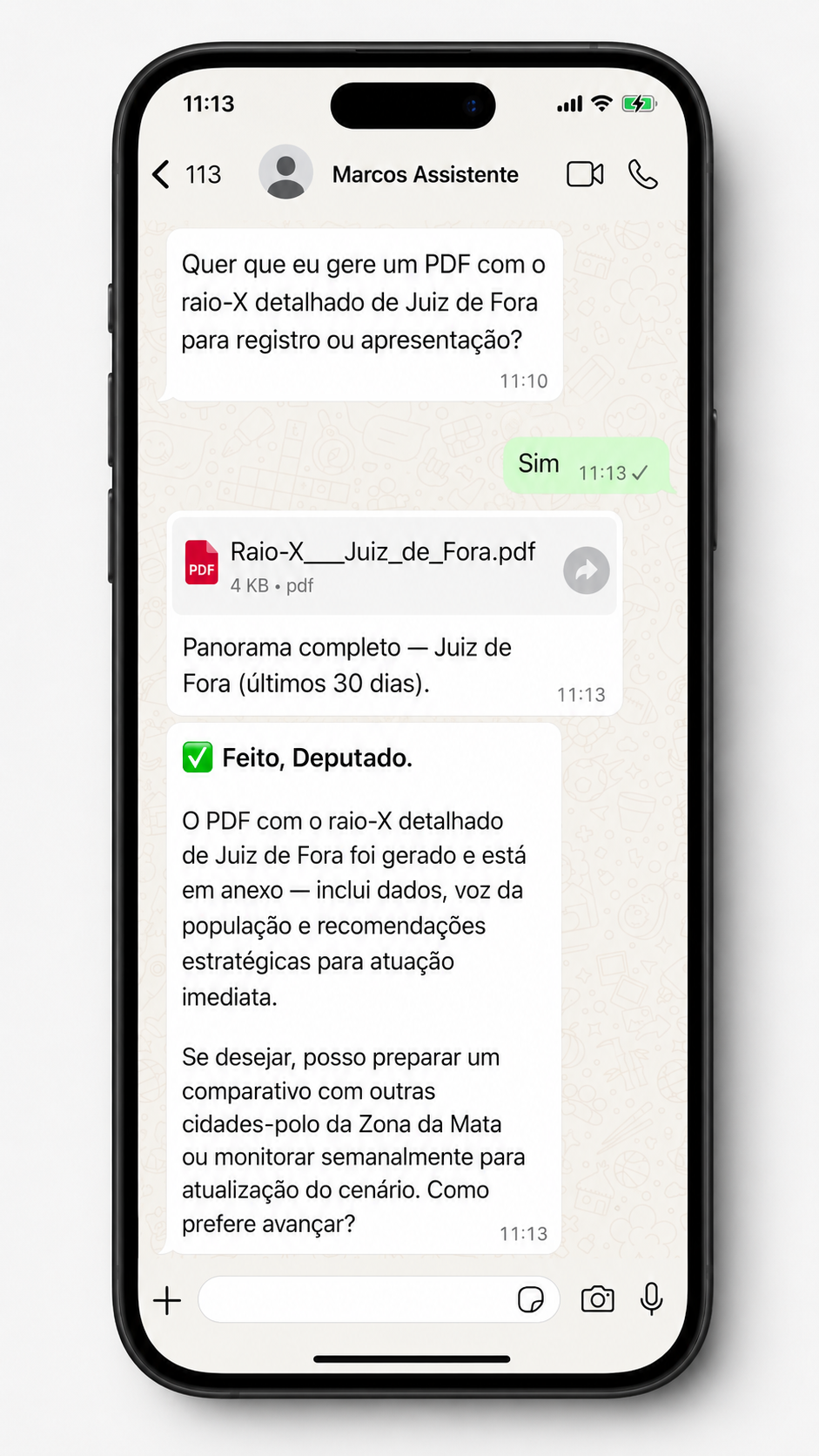 WhatsApp — PDF do raio-X gerado