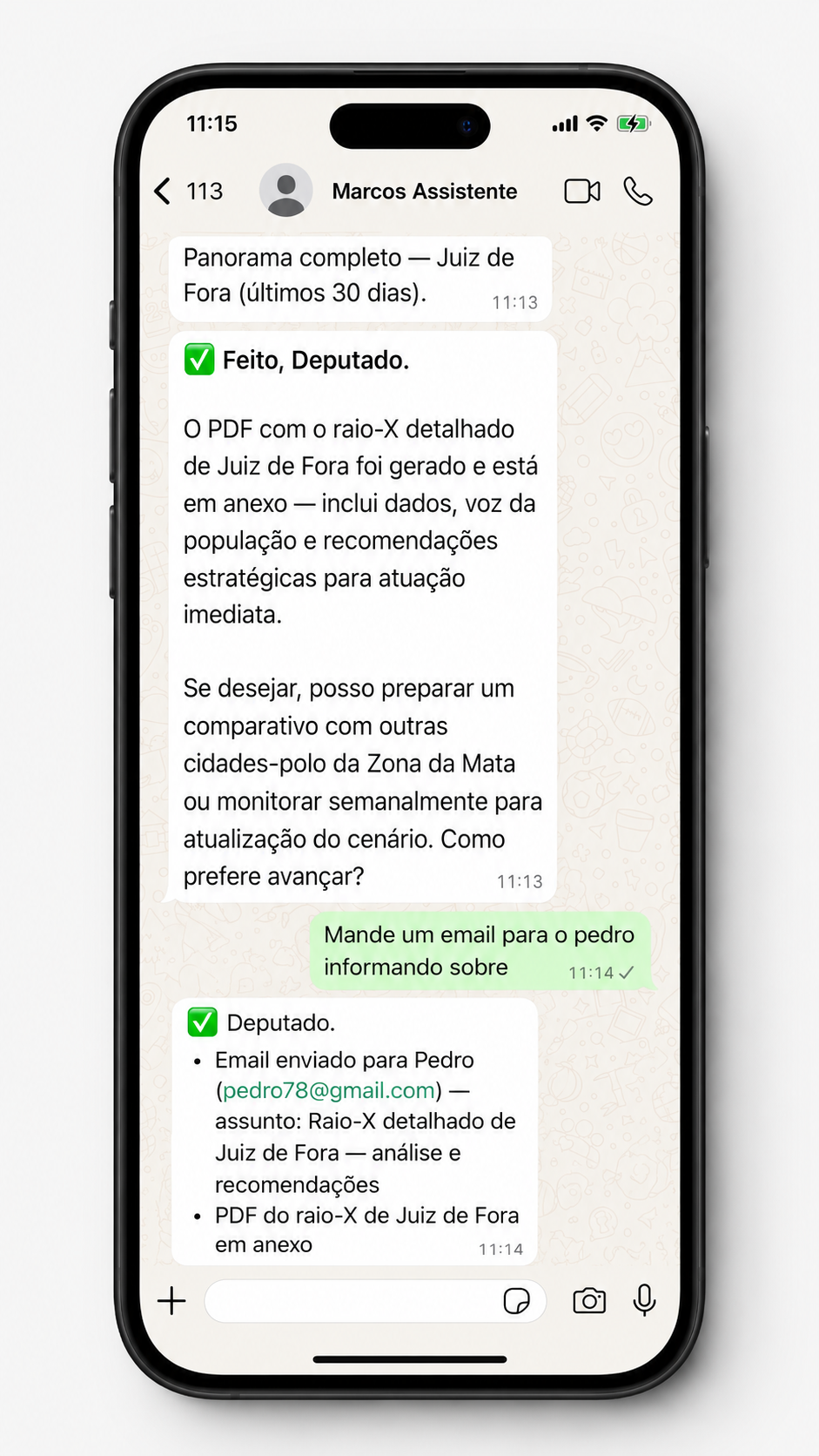 WhatsApp — confirmação e envio do email para Pedro